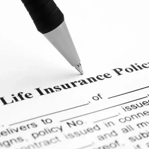thumbnail for publication: An Overview of Life Insurance